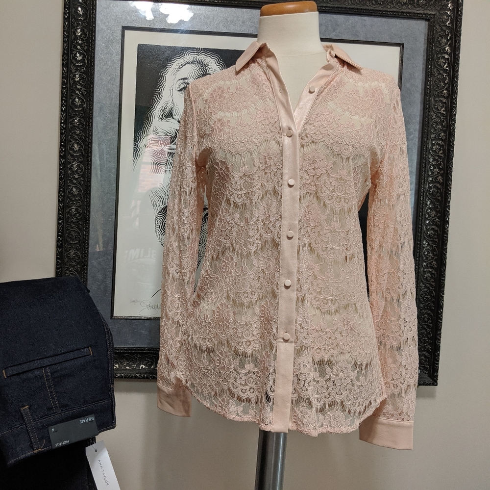 Ann Taylor Lace Top